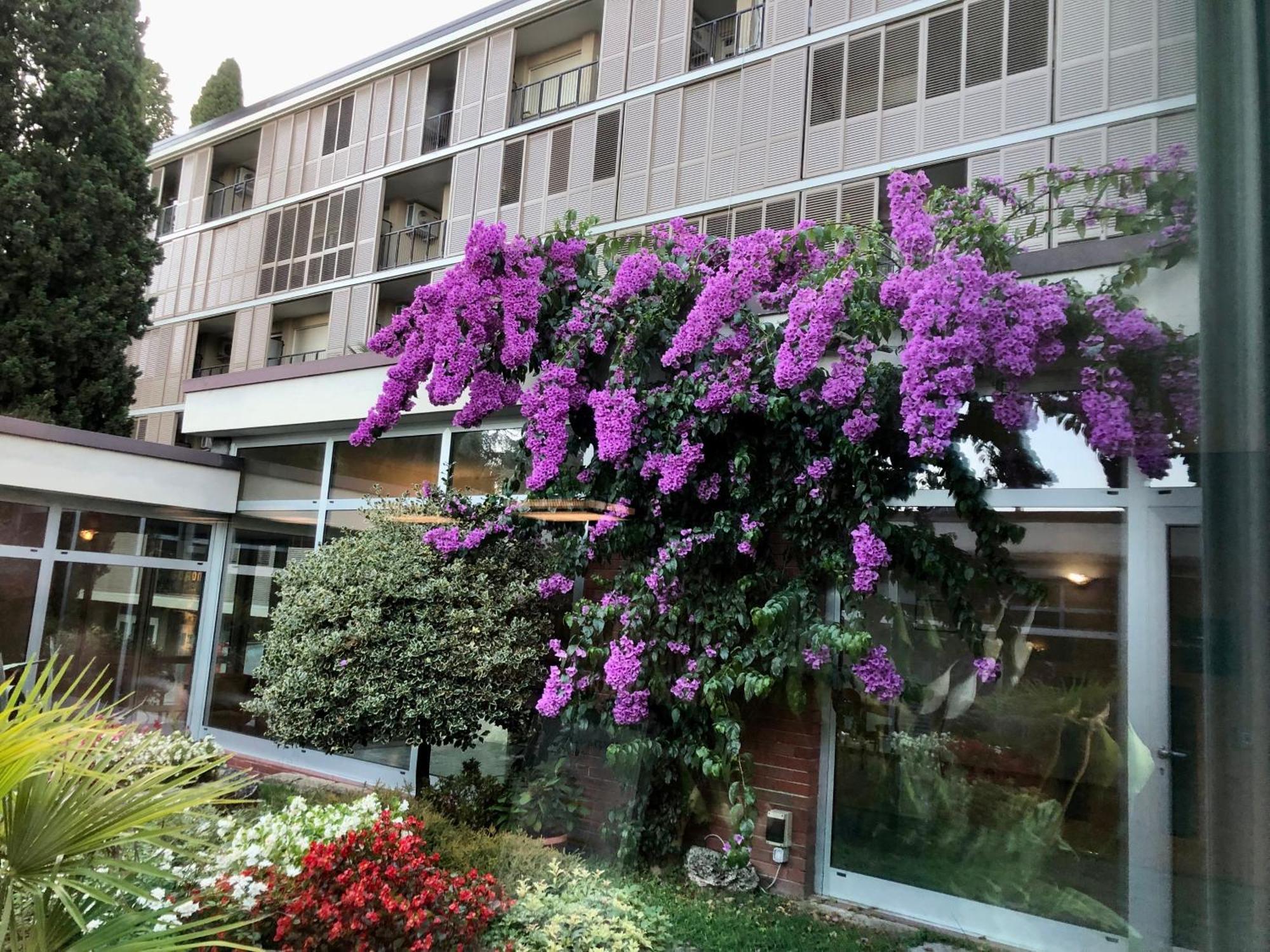 Residence Villa Alba Gardone Riviera Exterior foto
